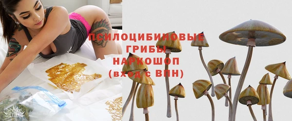 хмурый Армянск