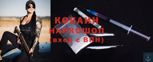 spice Арсеньев
