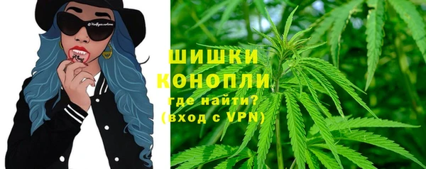 spice Арсеньев