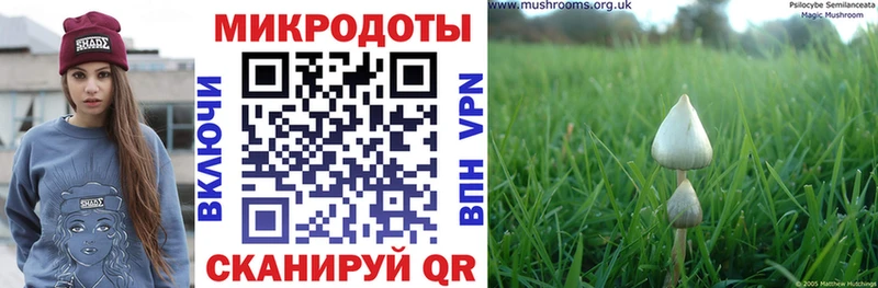 Псилоцибиновые грибы мицелий  Спасск 